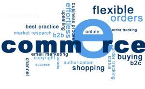 blue e-commerce